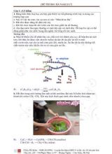 Đề thi học sinh giỏi môn Hóa học Lớp 9 tỉnh Hà Nam năm 2017 (Có lời giải chi tiết)